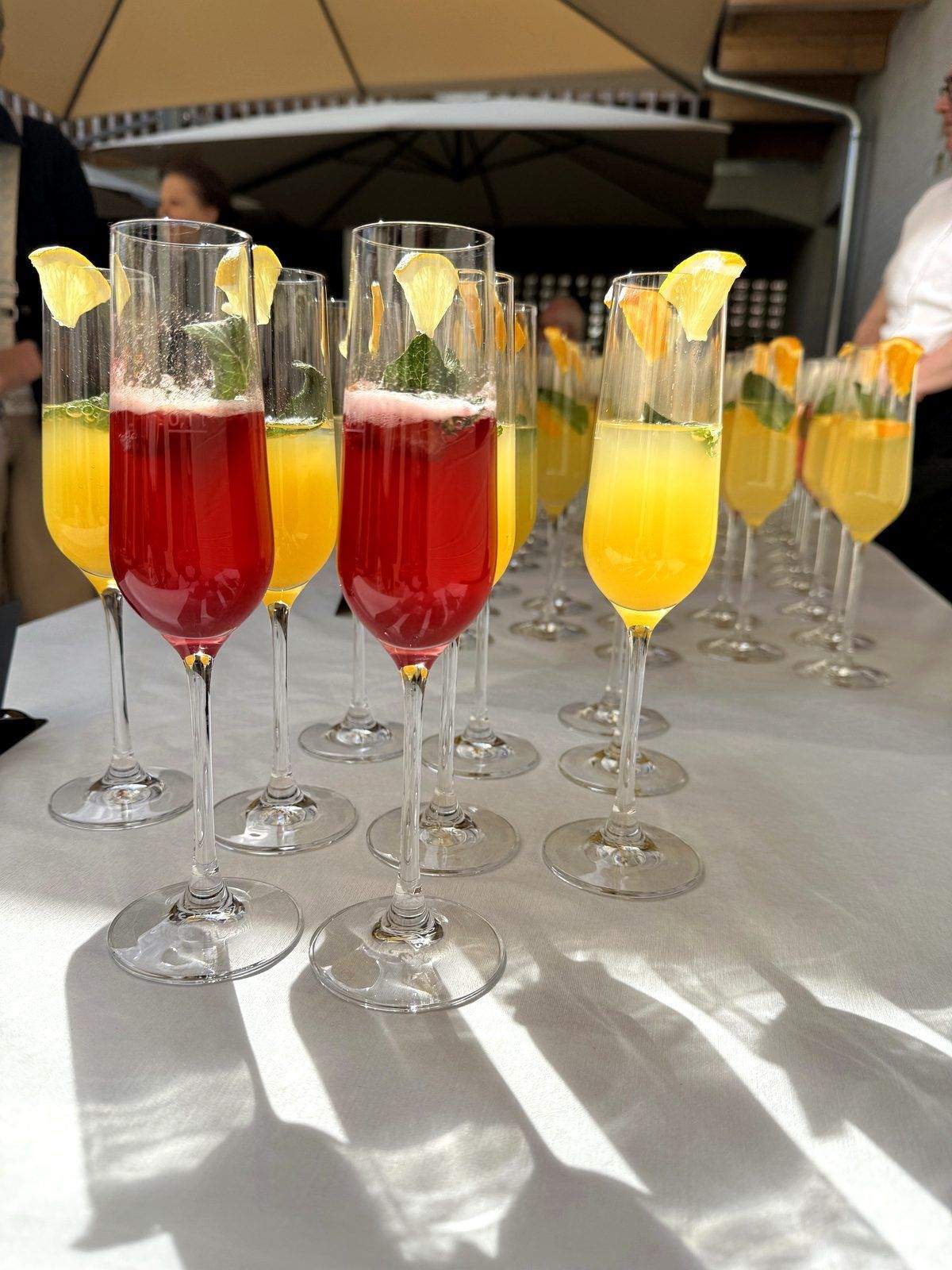 Verres d’apéritif au soleil du soir